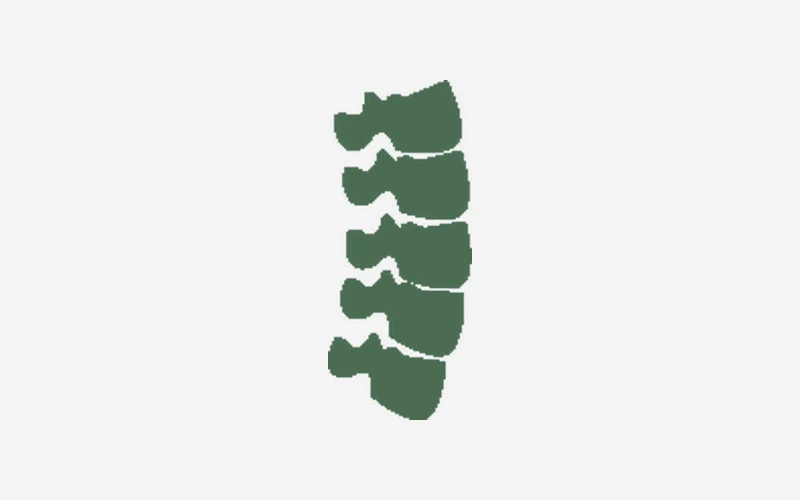 Vértebras de la columna lumbar